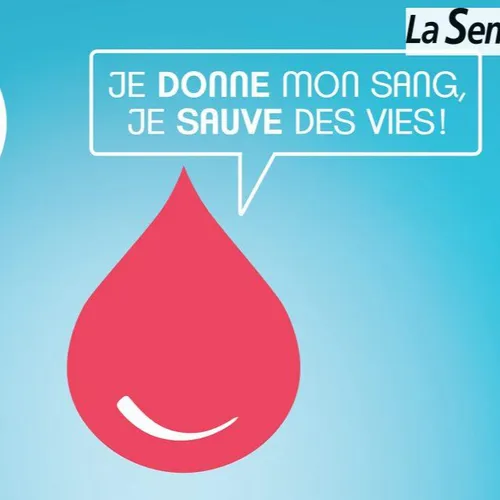 JOURNAL DU MERCREDI 17 NOVEMBRE ( MIDI )